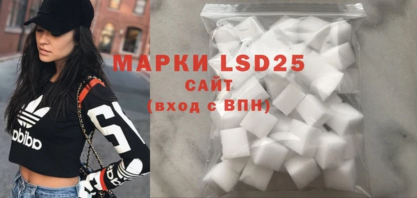 ПСИЛОЦИБИНОВЫЕ ГРИБЫ Абаза