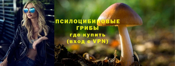 ПСИЛОЦИБИНОВЫЕ ГРИБЫ Абаза