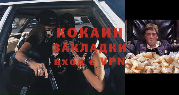 ПСИЛОЦИБИНОВЫЕ ГРИБЫ Абаза