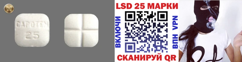 даркнет сайт  blacksprut   LSD-25 экстази кислота  Куртамыш 