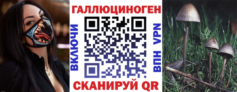 маркетплейс официальный сайт  Куртамыш  Галлюциногенные грибы GOLDEN TEACHER 