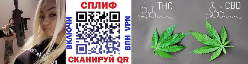 где найти   Куртамыш  Бошки Шишки сатива 